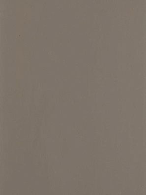 Lamicolor 1038 Серый муссон plamky terrae  3050х1300х0,7мм  EXPRESS