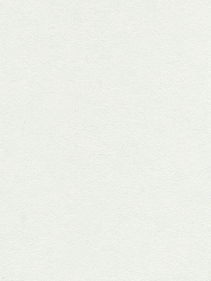 Lamicolor 204/ Shiky Белый 3050х1300х0,7мм