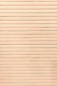 Бамбуковая панель DECO Ваниль 018 2800х900х10 мм