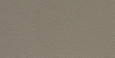 Кромка ABS CLEAF UB07 Primo Fiore 1х23мм